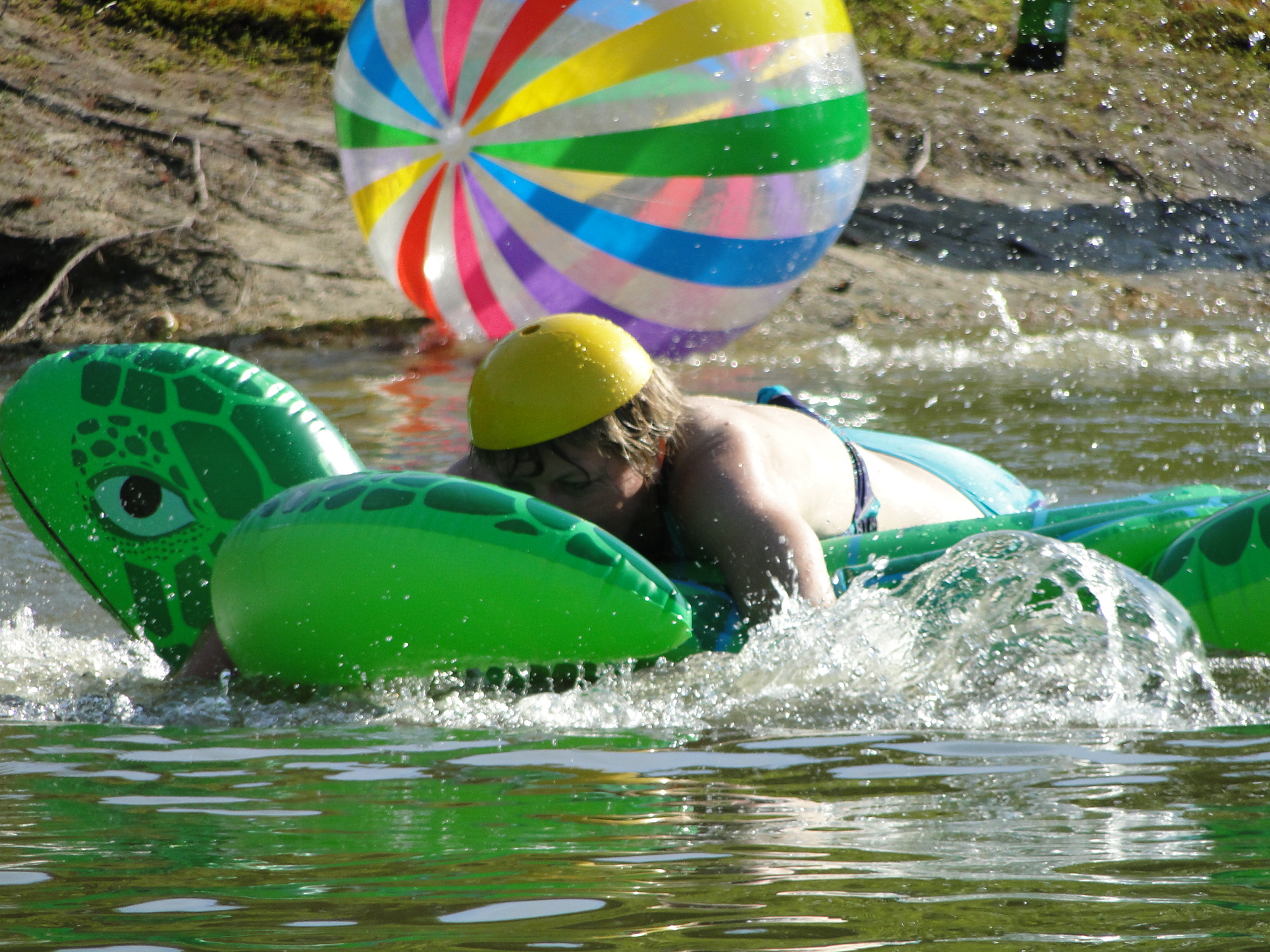 2011HWK 431.jpg